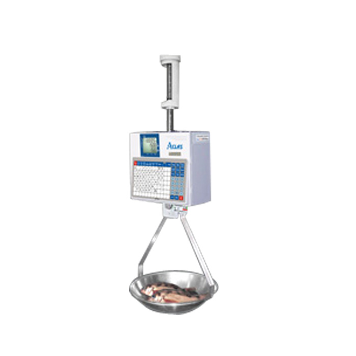 LH15X Hanging scale-image