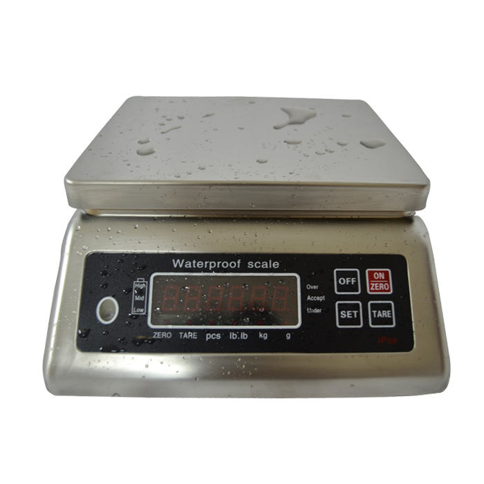 TP09 Water Proof Scale main image